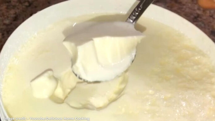 દહીં બનાવવાની રીત - dahi banavani rit - dahi recipe in gujarati - curd recipe in gujarati