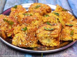 દૂધી સોજી બેસન ના ઢોકળા બનાવવાની રીત - Dudhi soji besan na dhokla banavani rit - Dudhi soji besan na dhokla recipe in gujarati