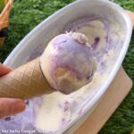 જાંબુ મલાઈ આઈસક્રીમ - Jambu Malai Ice Cream - જાંબુ મલાઈ આઈસક્રીમ બનાવવાની રીત - Jambu Malai Ice Cream banavani rit - Jambu Malai Ice Cream recipe