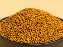 Methi no Mukhvas - મેથી નો મુખવાસ